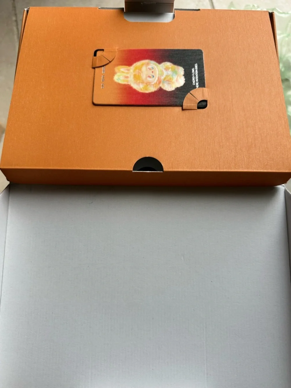 Rock the Universe Labubu - Picture 5 of 5